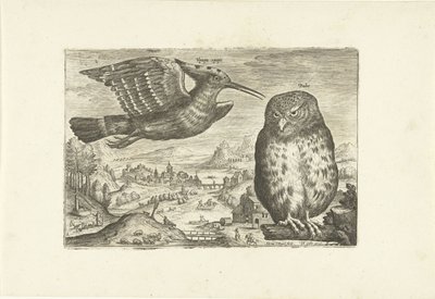 Quelques oiseaux dans un paysage - Adriaen Collaert