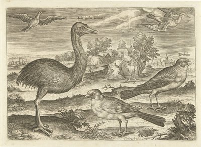 Quelques oiseaux dans un paysage - Adriaen Collaert