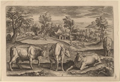 Quatre taureaux - Adriaen Collaert