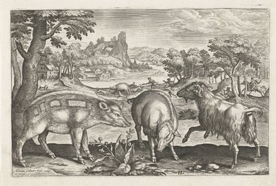 Chèvre et cochons (Animalivm Qvaddrvpedvm) - Adriaen Collaert