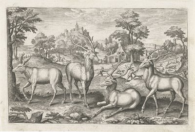 Cerfs - Adriaen Collaert