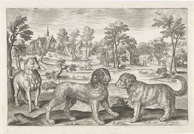 Chiens - Adriaen Collaert