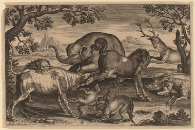 Lion, Taureau, Renard, Loup, Chien, Sanglier, Chèvre, Cheval, Éléphant et Cerf - Adriaen Collaert