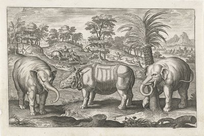 Éléphants et rhinocéros (Animalivm Qvaddrvpedvm) - Adriaen Collaert