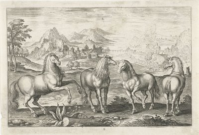 Chevaux (Vierpotige dieren, Animalivm Qvaddrvpedvm) - Adriaen Collaert