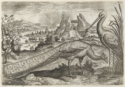 - Adriaen Collaert