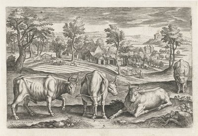 Bovins - Adriaen Collaert
