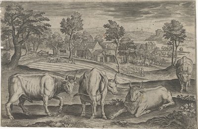 Bovins - Adriaen Collaert