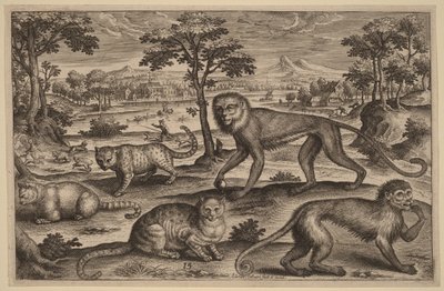  - Adriaen Collaert