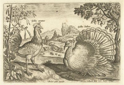 Deux poules dans un paysage - Adriaen Collaert