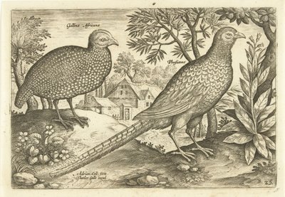 Deux poules dans un paysage - Adriaen Collaert