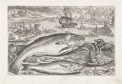 Deux poissons sur la plage - Adriaen Collaert