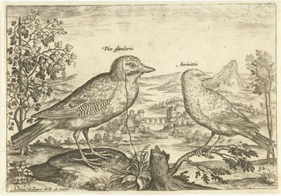 Deux oiseaux dans un paysage - Adriaen Collaert