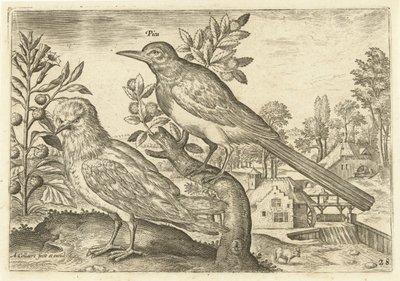 Deux oiseaux dans un paysage - Adriaen Collaert