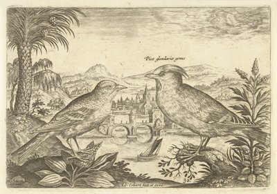 Deux oiseaux dans un paysage Oiseaux (titre de la série) Avivm Vivae (titre de la série) - Adriaen Collaert
