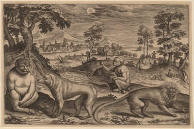 Deux singes et deux macaques - Adriaen Collaert