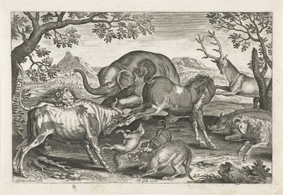 Animaux combattants, Animaux quadrupèdes (titre de la série) - Adriaen Collaert