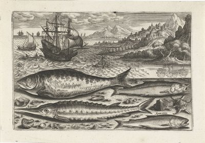 Quatre poissons sur la plage - Adriaen Collaert