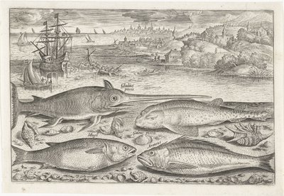 Quatre poissons sur la plage - Adriaen Collaert
