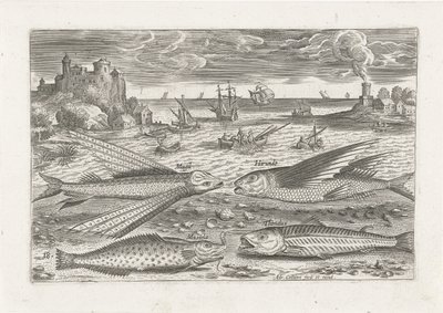 Quatre poissons sur la plage - Adriaen Collaert