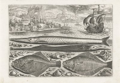 Quatre poissons sur la plage - Adriaen Collaert
