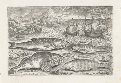 Quatre poissons sur la plage - Adriaen Collaert