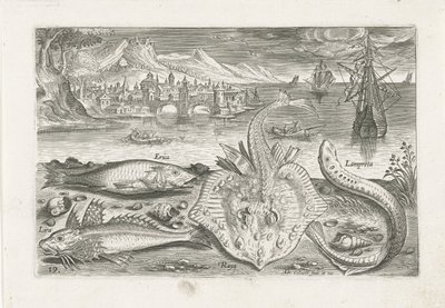 Quatre poissons sur la plage - Adriaen Collaert
