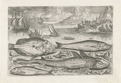 Vier vissen sur la plage - Adriaen Collaert