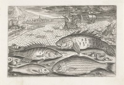 Quatre poissons sur la plage (Vissen, Piscivm vivae icones) - Adriaen Collaert