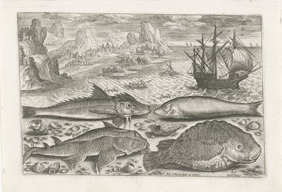 Quatre poissons sur la plage - Adriaen Collaert