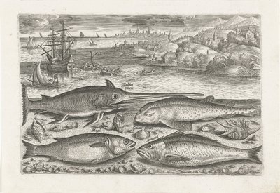 Quatre poissons sur la plage - Adriaen Collaert