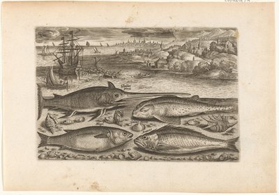 Quatre poissons sur la plage - Adriaen Collaert