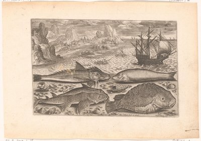 Quatre poissons sur la plage - Adriaen Collaert