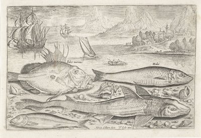 Quatre poissons sur la plage - Adriaen Collaert