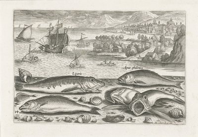 Cinq poissons sur la plage - Adriaen Collaert