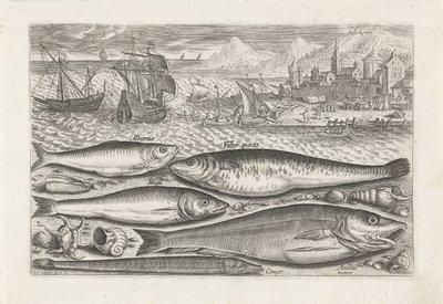 Vijf vissen sur la plage - Adriaen Collaert