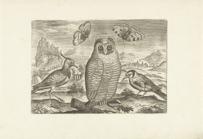 Oiseaux et papillons dans un paysage (Oiseaux) - Adriaen Collaert