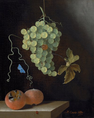 Nature morte avec une grappe de raisins suspendue, deux nèfles et un papillon - Adrian Coorte