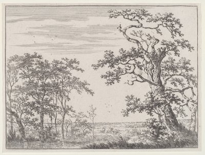 Paysage avec un ruisseau et un arbre ancien - Adriaen Hendricks Verboom