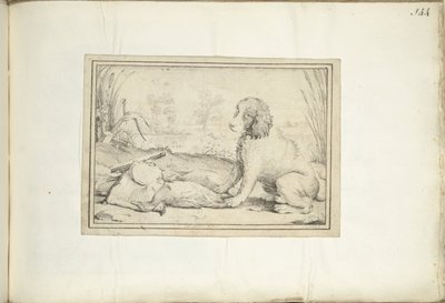 Chien à côté d