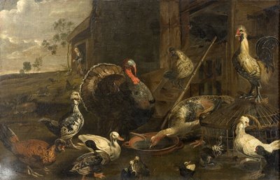 Poules, canards et dindon - Adriaen van Utrecht