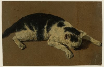 Chat couché avec la tête entre les pattes avant - Adriaen van de Velde (attributed to)