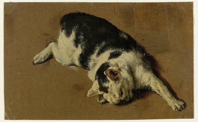 Chat couché sur le côté, patte avant gauche étendue - Adriaen van de Velde (attributed to)