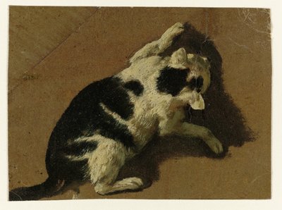 Chat jouant près d