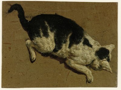 Chat regardant en bas depuis une hauteur - Adriaen van de Velde (attributed to)