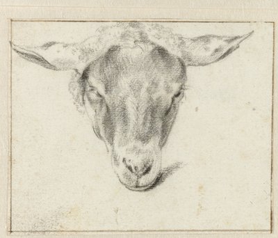 Tête de mouton, de face - Adriaen van de Velde (attributed to)