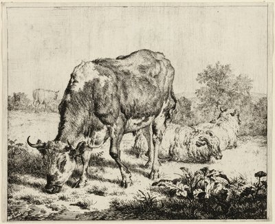 Une vache et trois moutons - Adriaen van de Velde