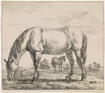 Cheval broutant - Adriaen van de Velde