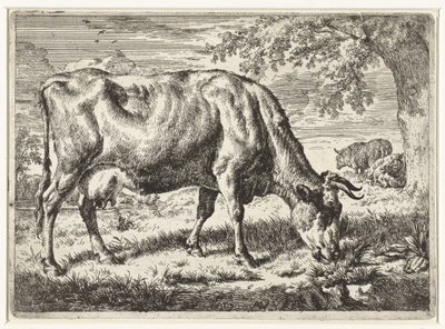 Vache broutant et deux moutons - Adriaen van de Velde