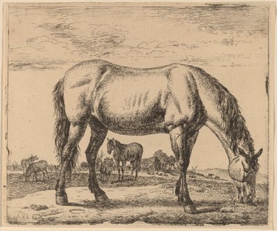 Cheval broutant - Adriaen van de Velde
